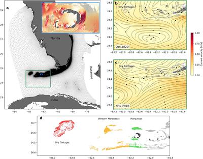 Connecting the Dots: Transmission of Stony Coral Tissue Loss Disease From the Marquesas to the Dry Tortugas